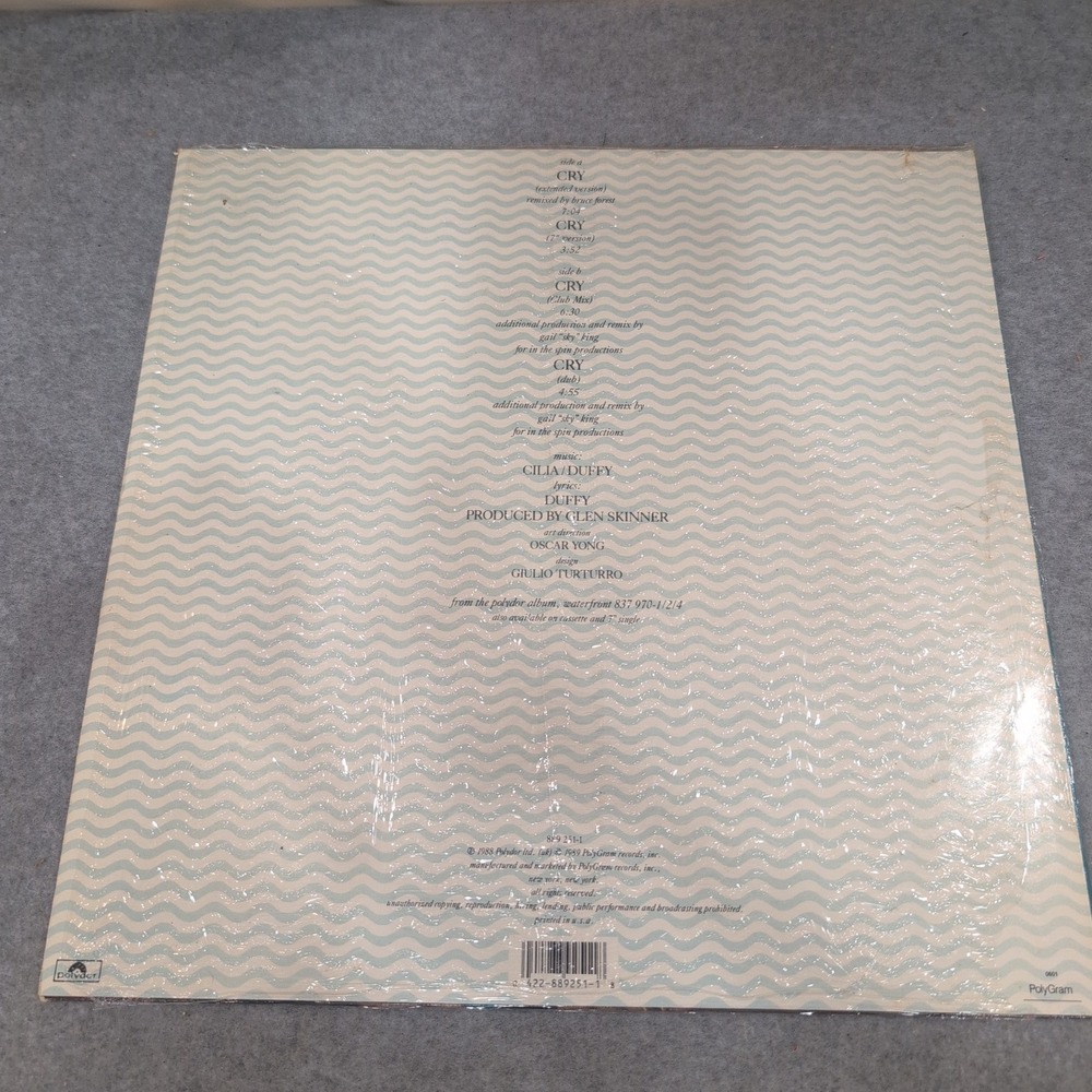 Waterfront Cry 12 Inch Vinyl Single Polydor 889 251-1 1989 Pop 33 RPM Extended - Picture 2 of 6